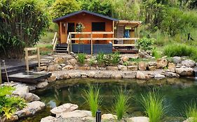 Tweed Hinterland Eco Cabin